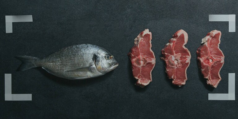 Distintos tipos de carne y pescado