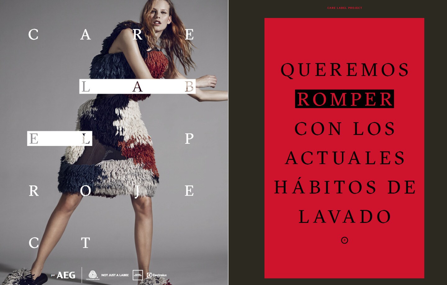 LookBook AEG Care Label Project