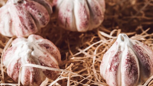 Trampantojo de ajo morado