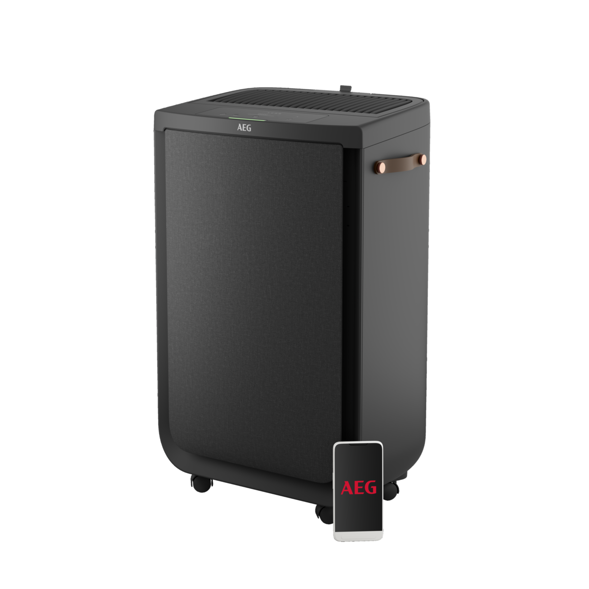 AEG - Filtros de purificador de aire - AFWCLN5