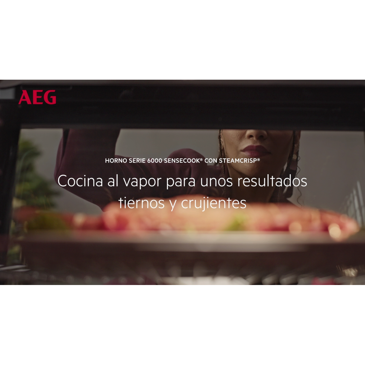 AEG - Horno multifunción - GR6PB53FSB