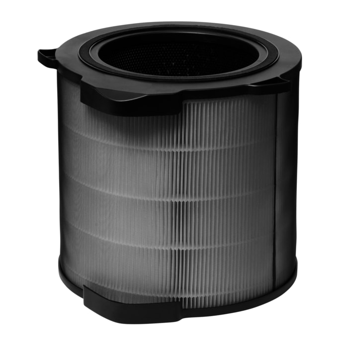 AEG - Filtros de purificador de aire - AFDBTH4