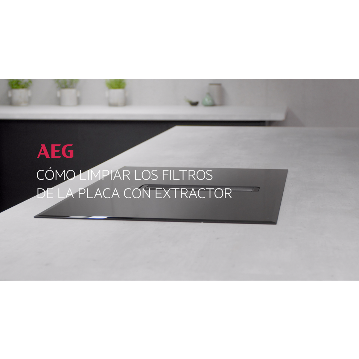 AEG - Placa con campana integrada - NCH84B01AB