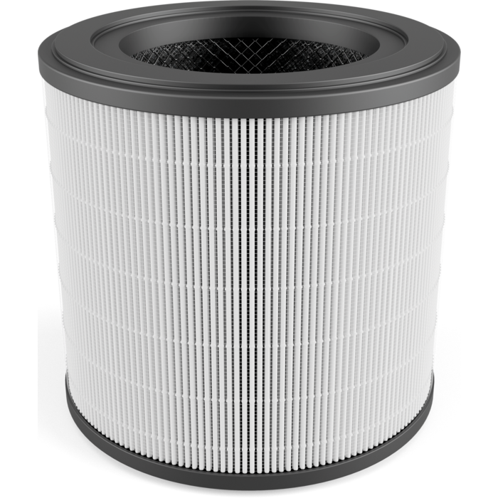AEG - Filtros de purificador de aire - AFFCAR2
