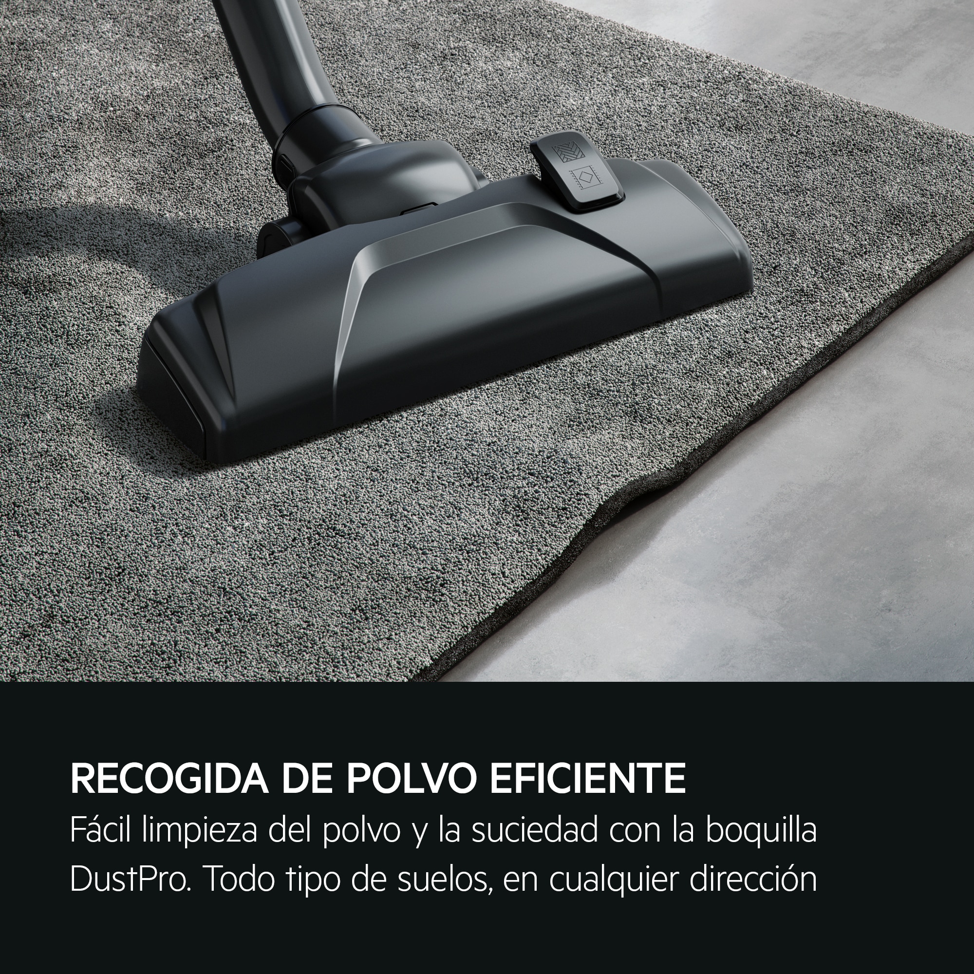 AEG - Aspiradora con bolsa - AB31C1GG