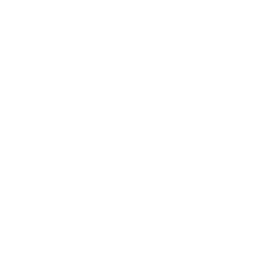 Connectividad