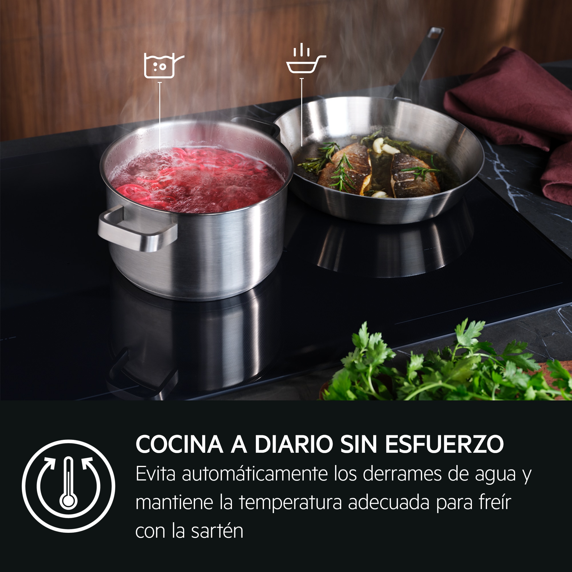 AEG - Placa de inducción - TI63IQ30FZ