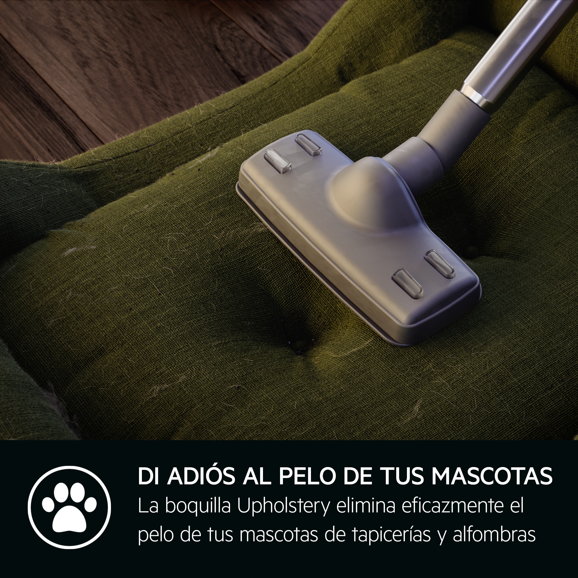 AEG - Aspiradora con bolsa - AB61C2DB