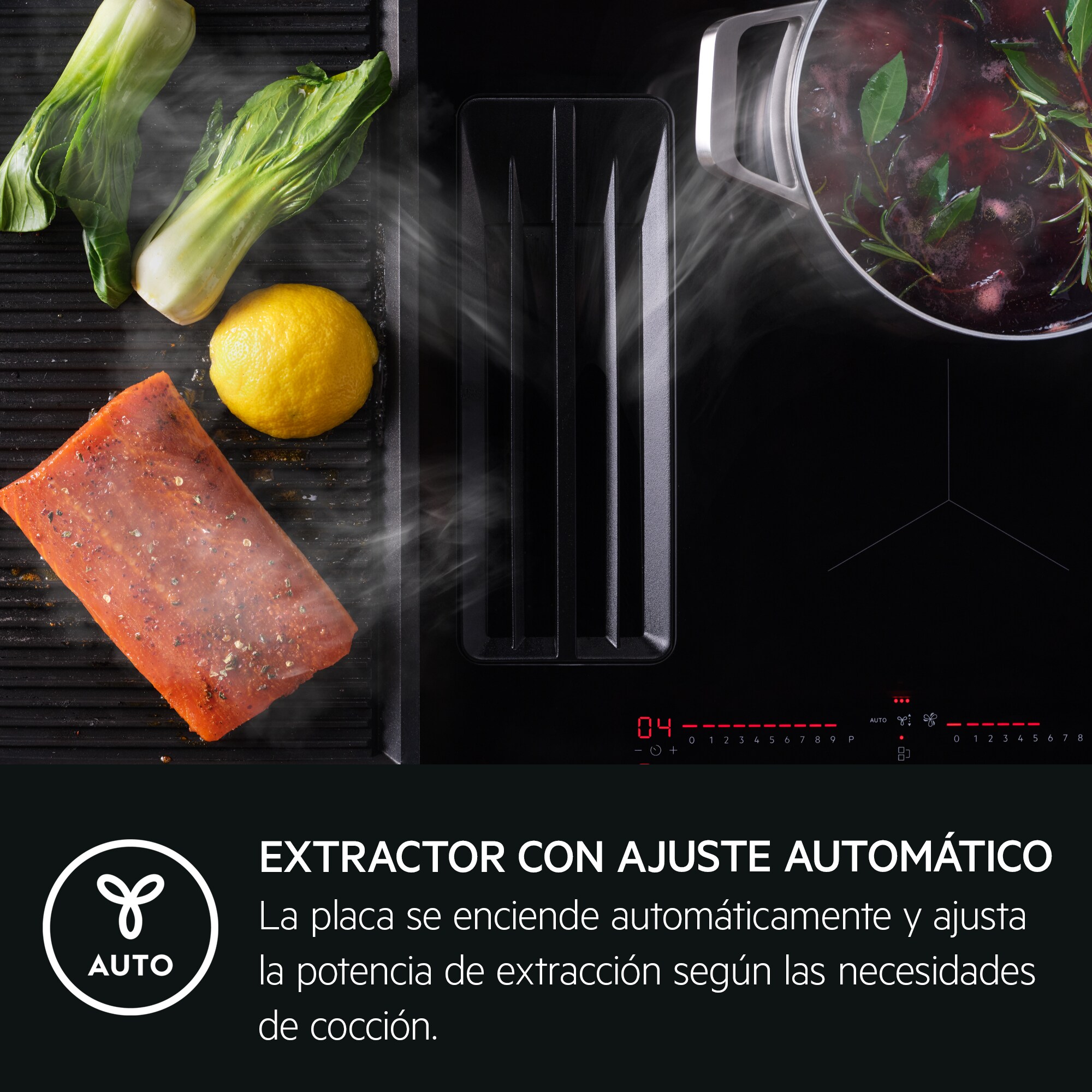 AEG - Placa con campana integrada - TCH74B01FB