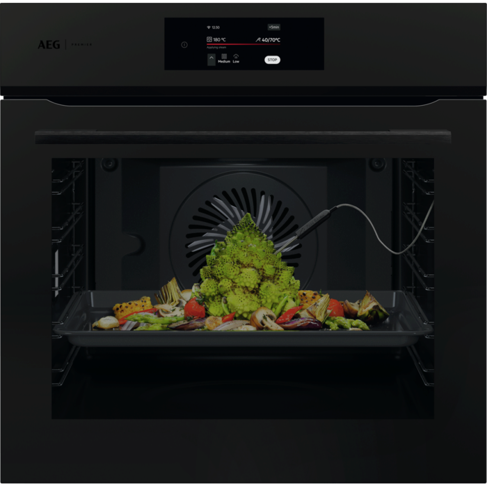 AEG - Hornos pirolíticos - PO7000PT