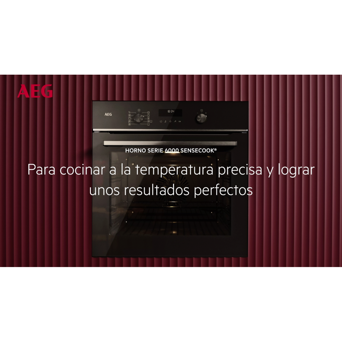 AEG - Hornos pirolíticos - GS6PB51FAB