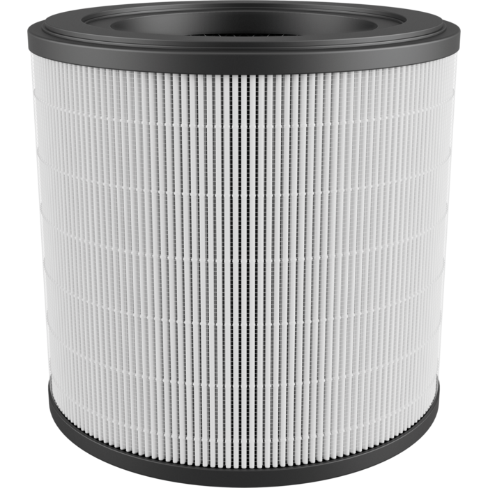 AEG - Filtros de purificador de aire - AFFCAR2