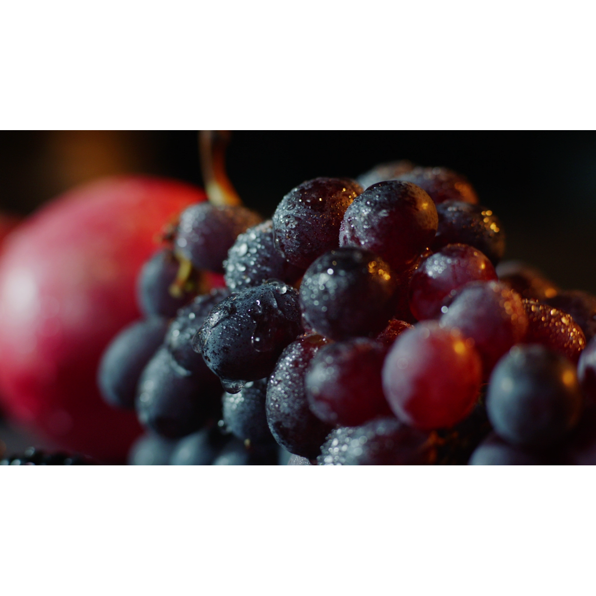 AEG - Frigorífico combi integrable - SCE819E5TS