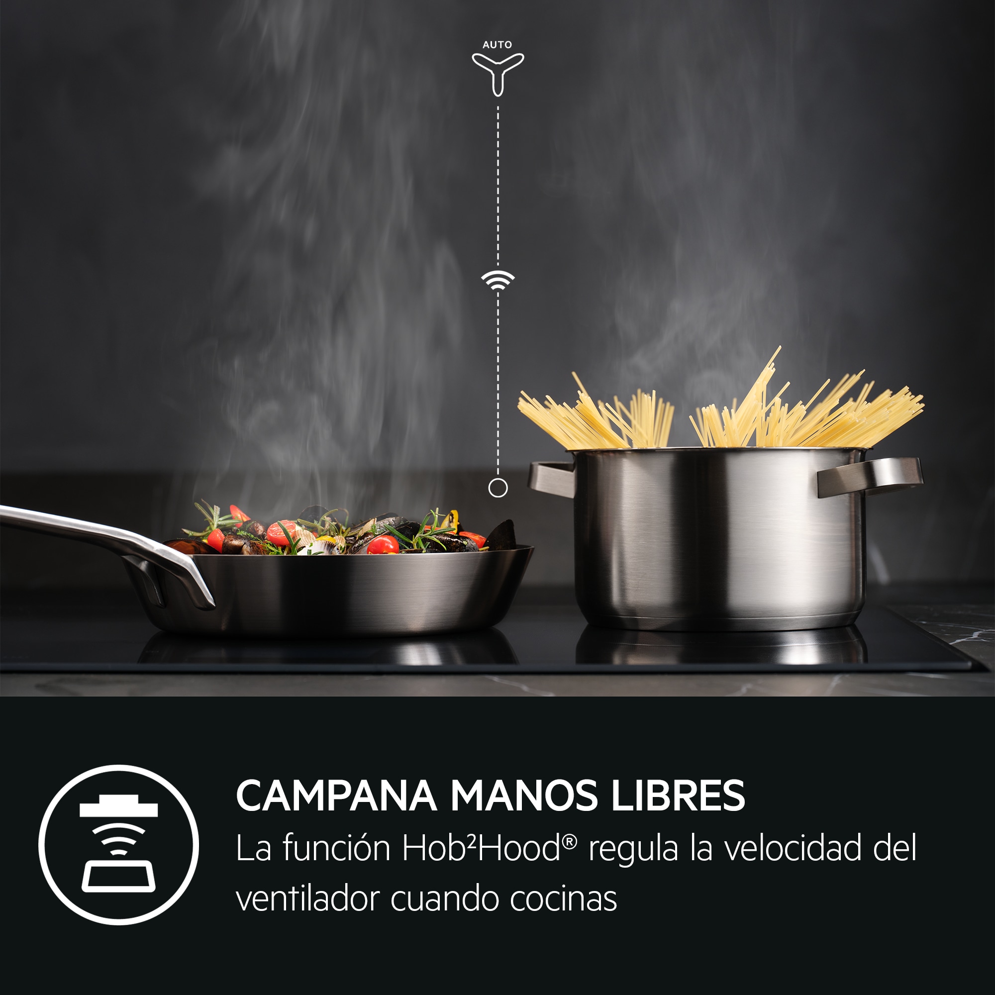 AEG - Campana extractora de 90 cm - GDE689HM