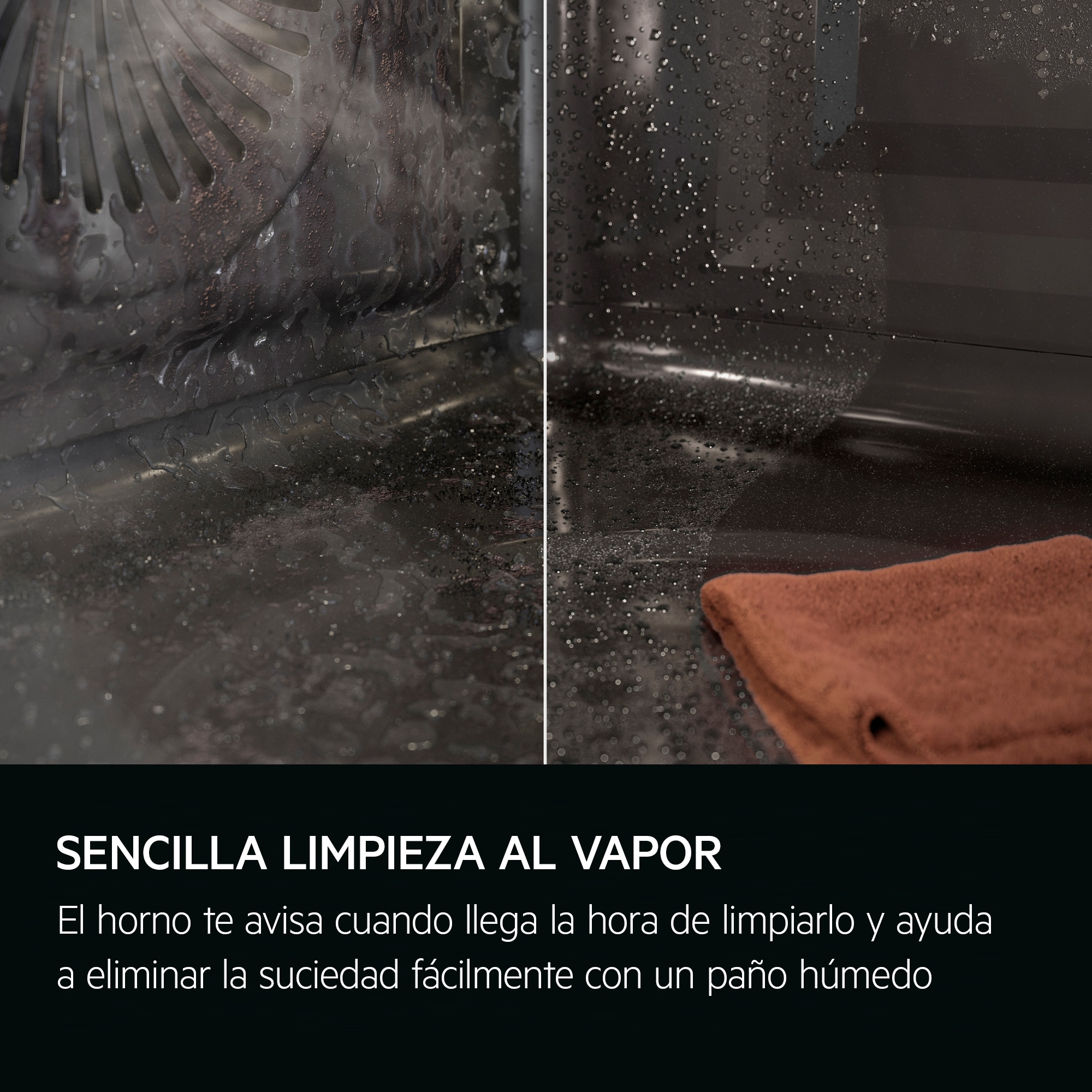 AEG - Hornos de vapor - TP9SK821B