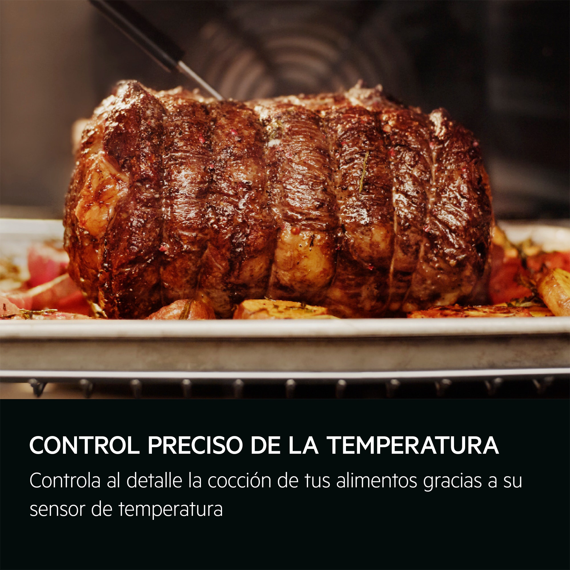 AEG - Hornos pirolíticos - GS6PB51FAB