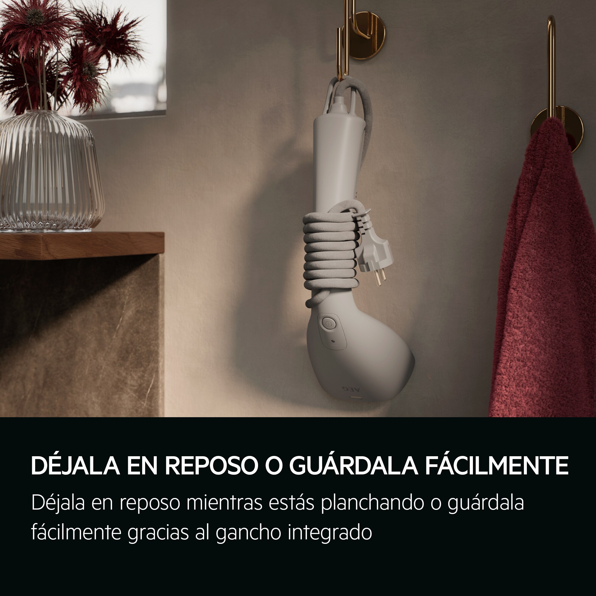 AEG - Plancha de vapor vertical - HS7-2-6UG