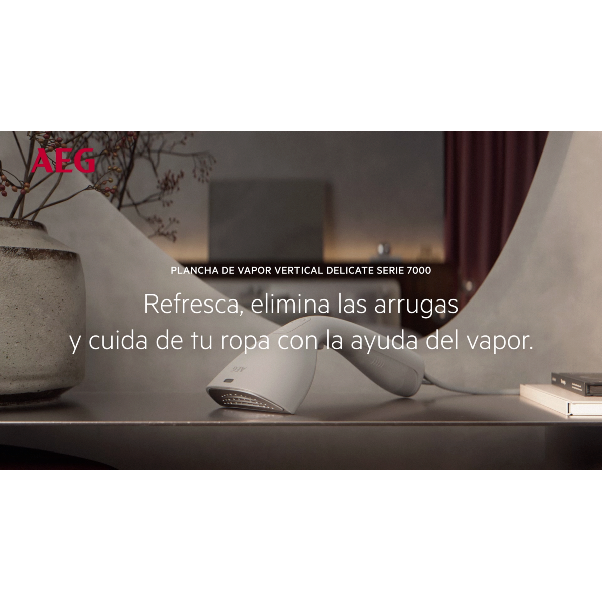 AEG - Plancha de vapor vertical - HS7-2-6UG