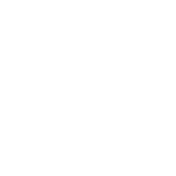 Función Flexipuente