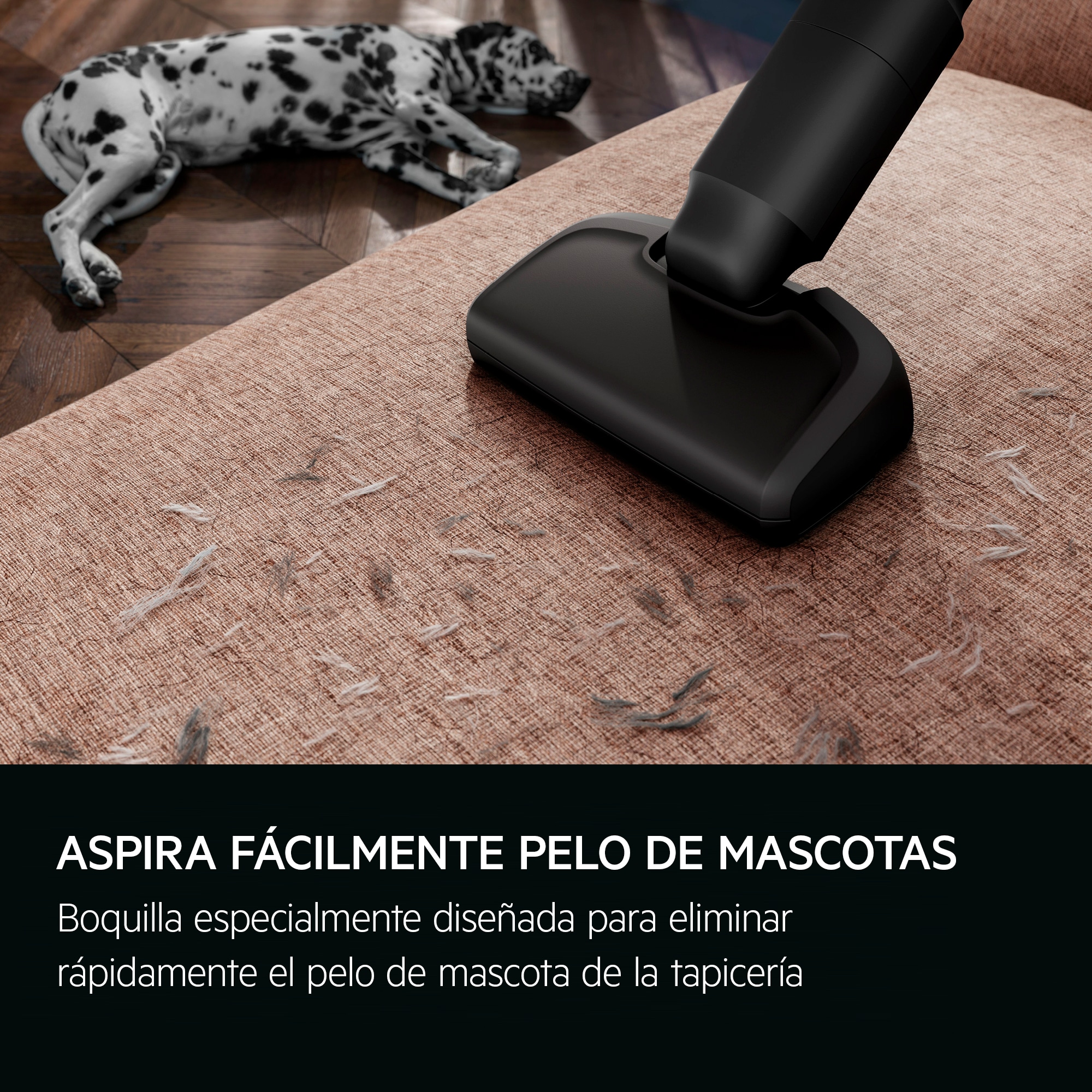 AEG - Aspiradora sin cable - AP61AB21DG
