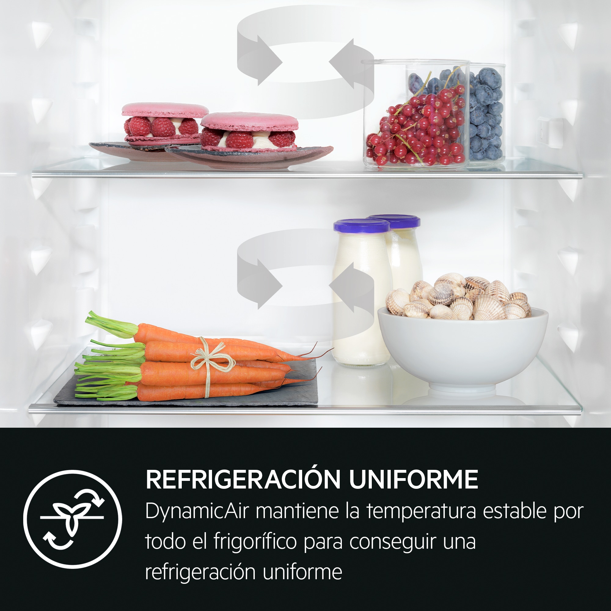 AEG - Frigorífico combi integrable - OSC5D181ES