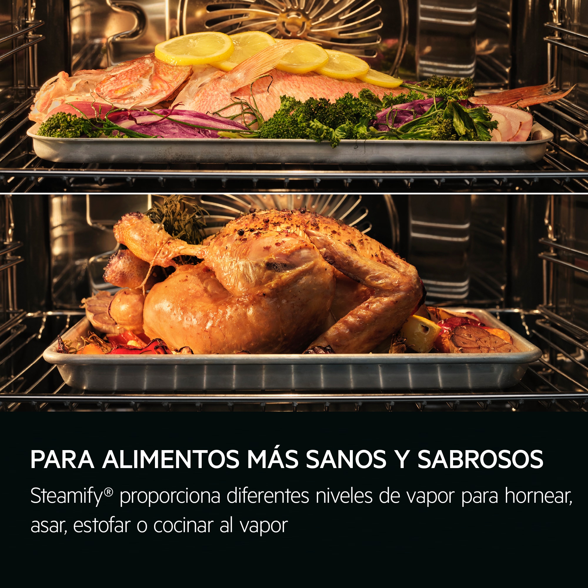 AEG - Hornos de vapor - TP9SK821B