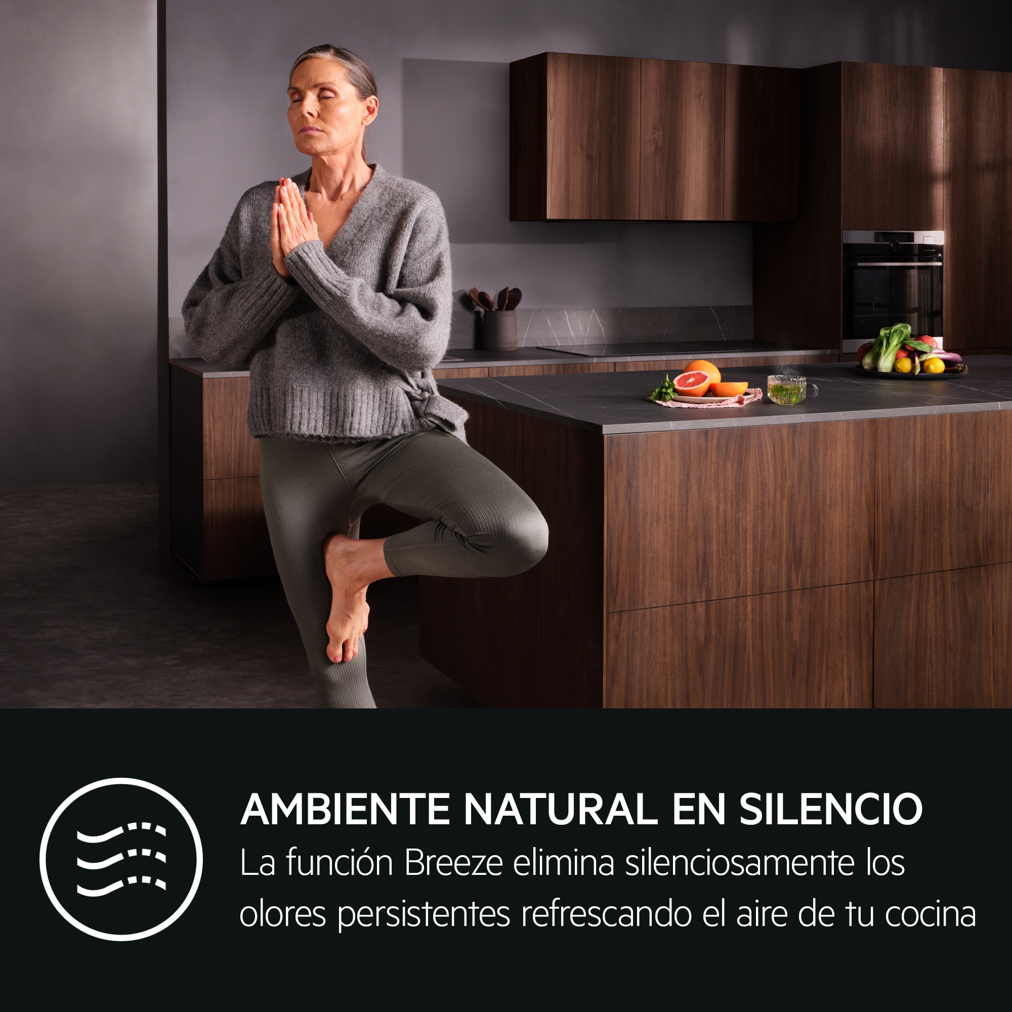AEG - Campana integrada - NDG966AB