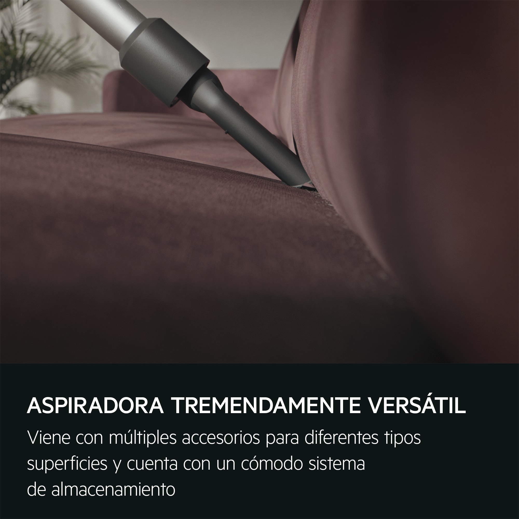 AEG - Aspiradora sin cable - AP31CB18IW