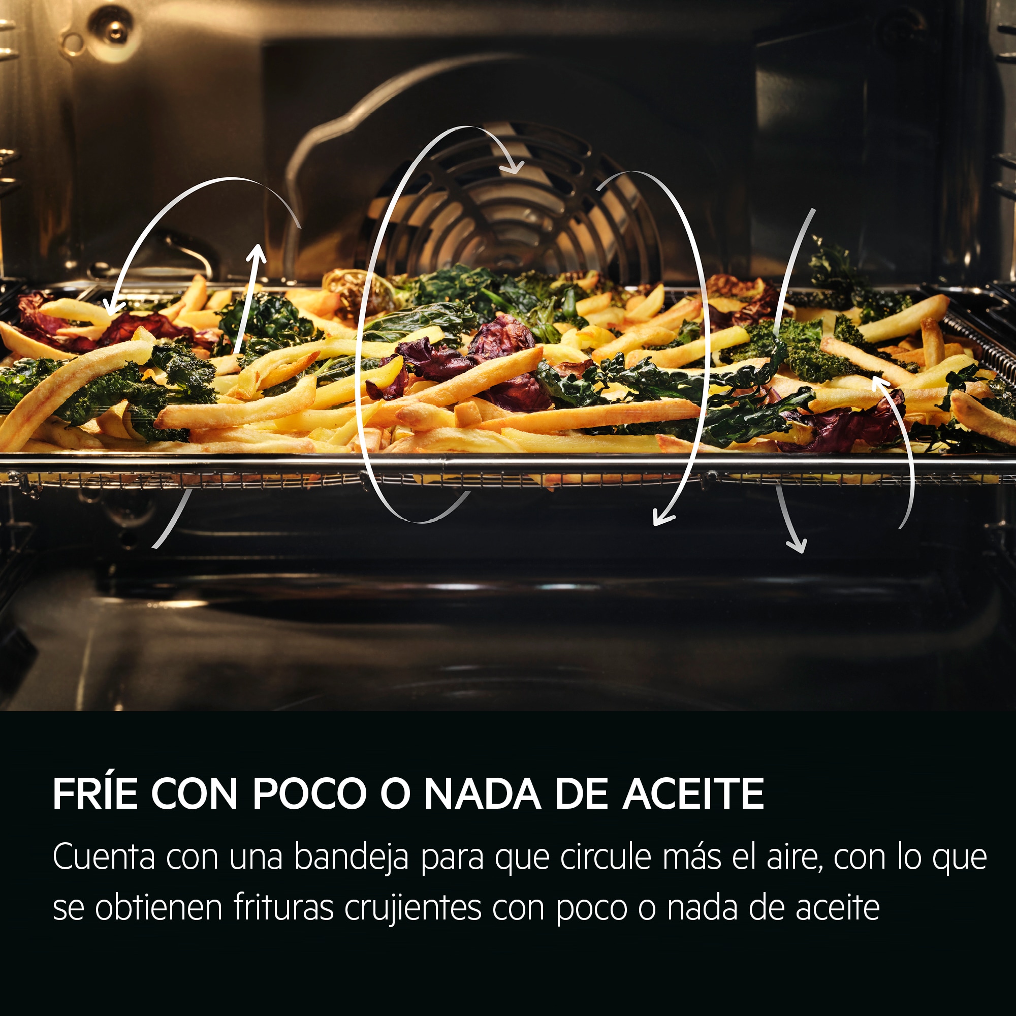 AEG - Hornos pirolíticos - GS6PB51FAB