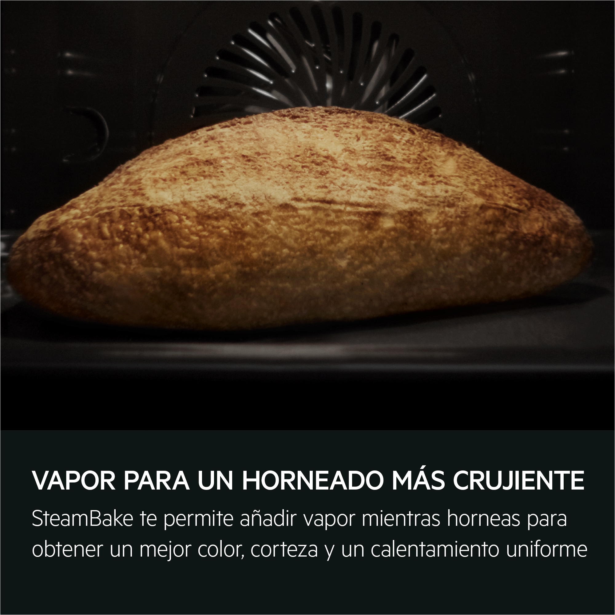 AEG - Horno compacto - TA5PK401B