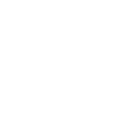 Función Flexipuente