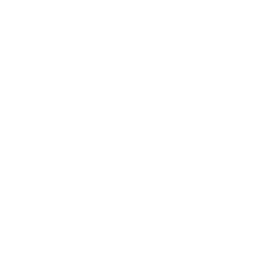 SenseBoil®