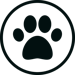 Cepillo PET