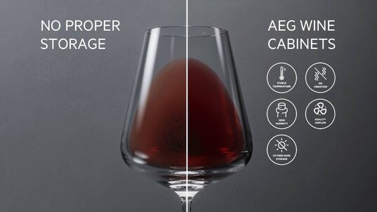 Protege tus vinos con Cellar Pro 5 Fundamentals