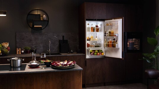 Encimera de cocina y frigorífico combi