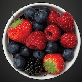 Frigorífico combi ProFresh