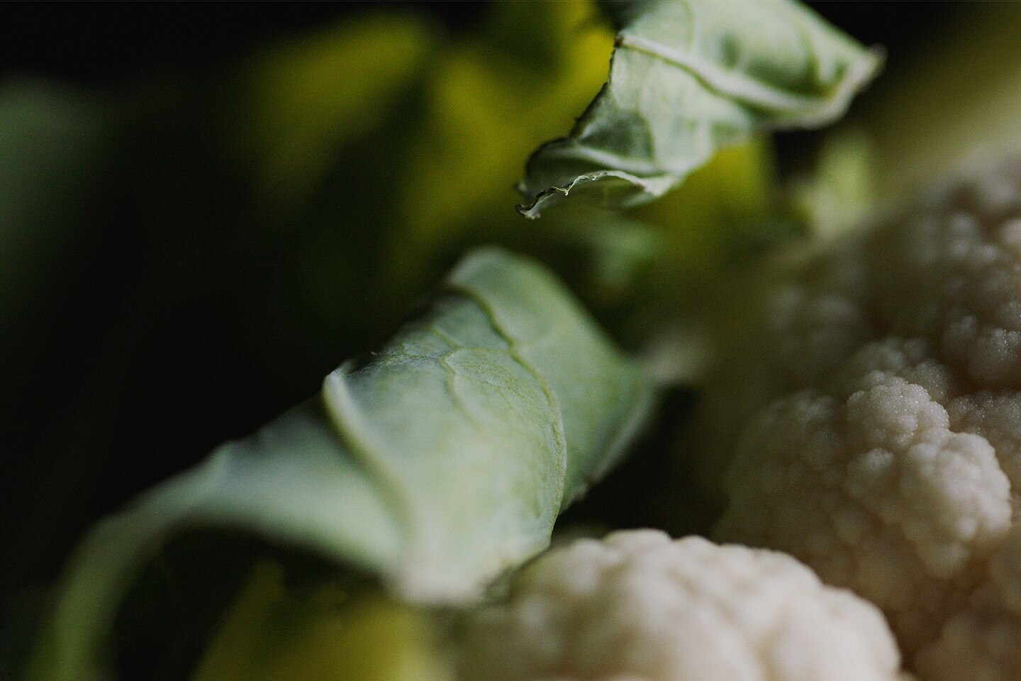 coliflor coliflor