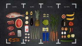 Selección de alimentos de distintos grupos