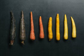 Conjunto de zanahorias de diferentes colores