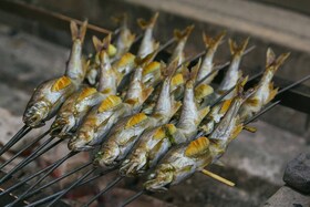 Pescado a la barbacoa de carbón