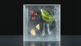 Bloque de hielo con ingredientes congelados en su interior que representan el concepto del frío para elevar el sabor a otro nivel
