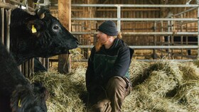 El chef especialista en carne Ludwig Maurer con una res Wagyu