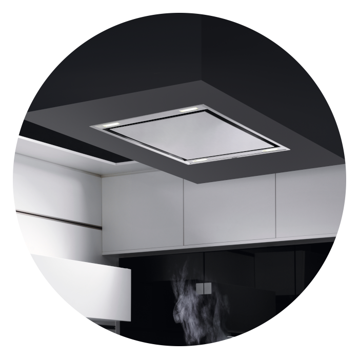 Campanas de techo AEG