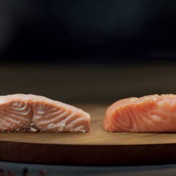 Control absoluto del vapor